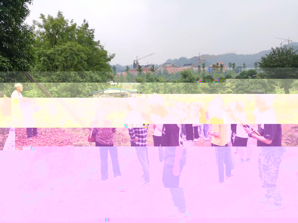 教學